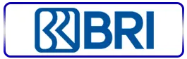 bri - biropay28