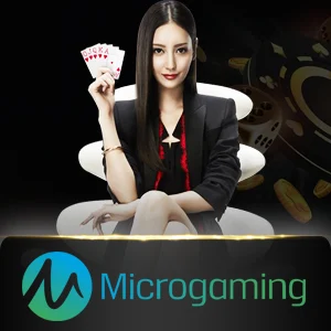 microgaming-casino - biropay28