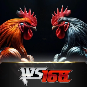 ws168 - biropay28